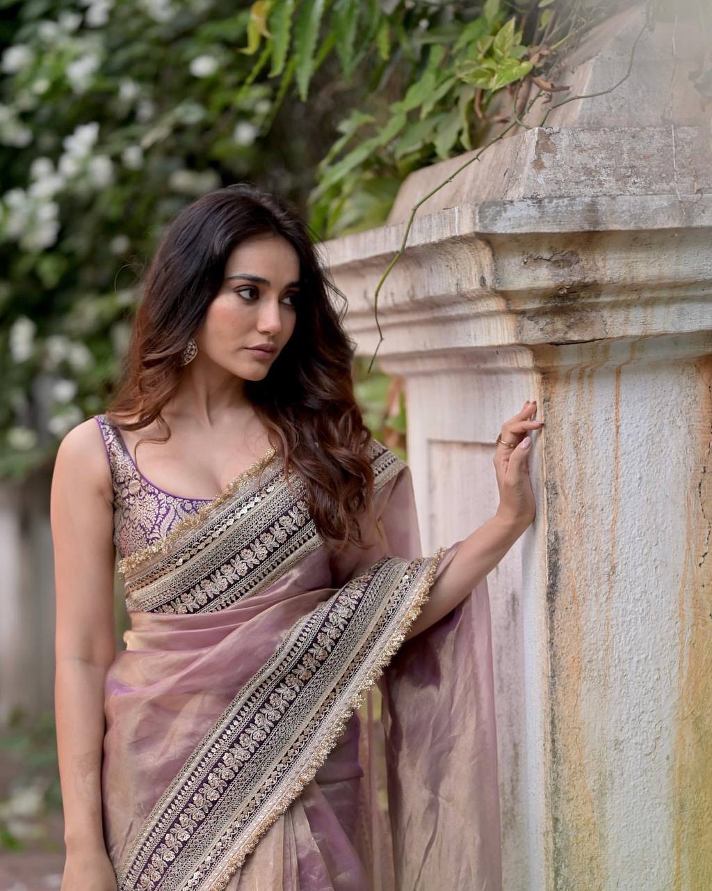 Beautiful Soft Twill Net Saree